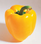 Pimiento_20Amarillo