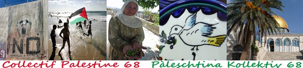Collectif Palestine 68