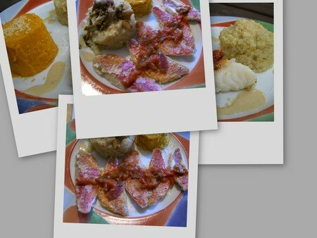 collage3