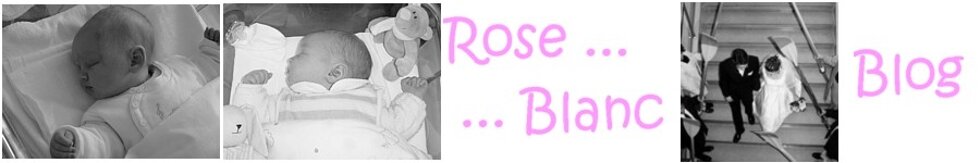 Rose Blanc Blog