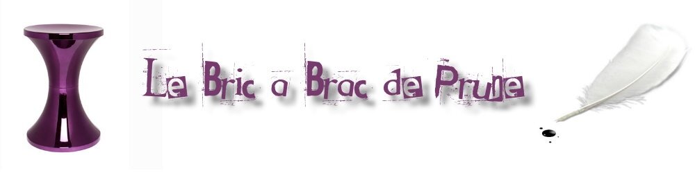 Le bric-à-brac de Prune