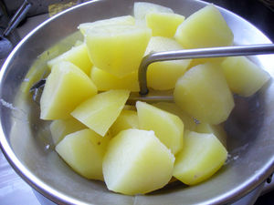 DSCN7856