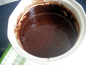 DSCN2620
