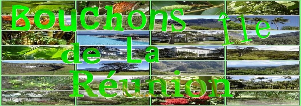 Bouchons Île de la Réunion