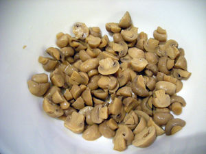 DSCN8008