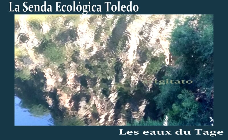 Senda Ecologica Toledo Tolède Chemin Ecologique du Tage Artgitato 11