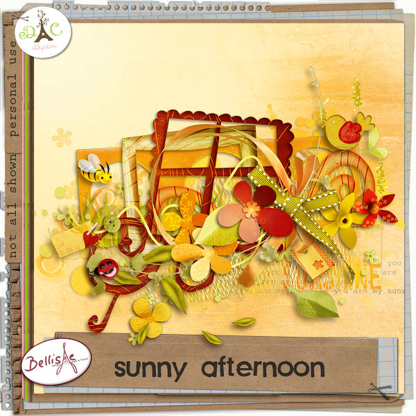 preview_SunnyAfternoon_bellisaedesigns