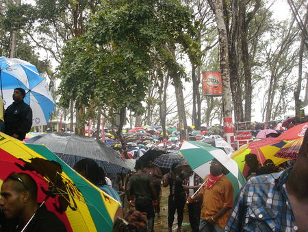 DSC03849