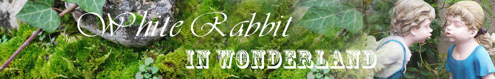 white-rabbit-in-wonderland