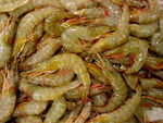 langostinos_frescos