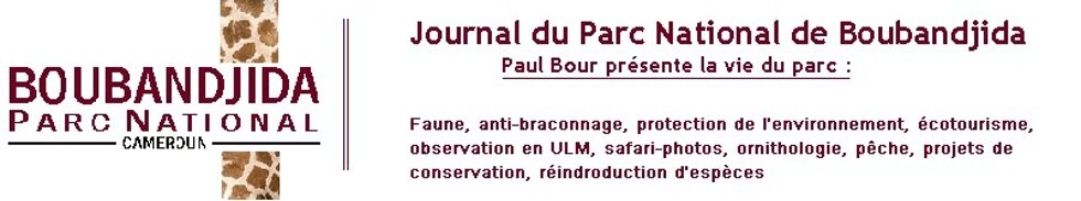 journal du parc national de Boubandjida