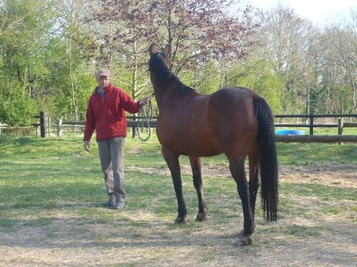 2010paq2 - Lucie (81)