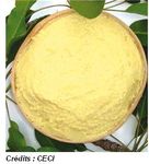 BeurreDeKarite