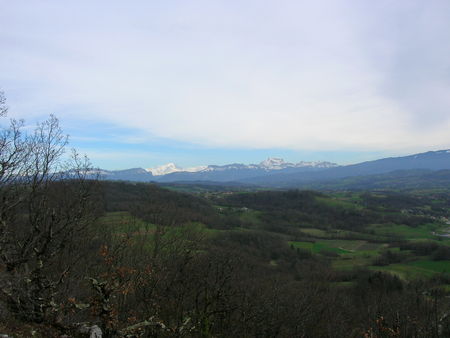 DSCN2306