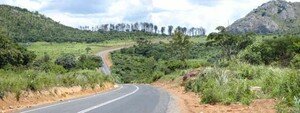la_nouvelle_route_copie