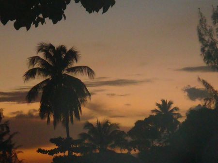 DSC07970