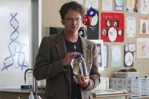 Rainn Wilson