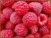 framboises