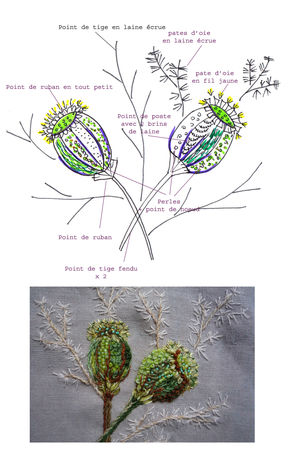 pavots_WEB