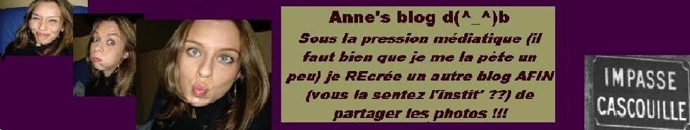 Anne's blog    d(^_^)b