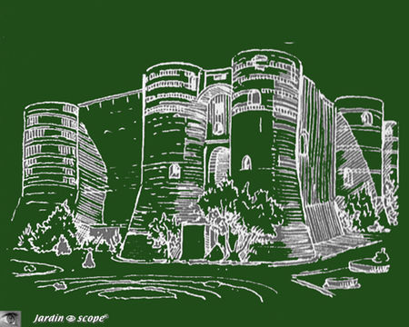 Angers