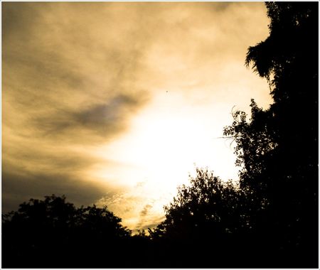 DSC01947