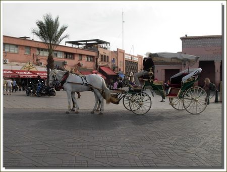 marrakech__256_