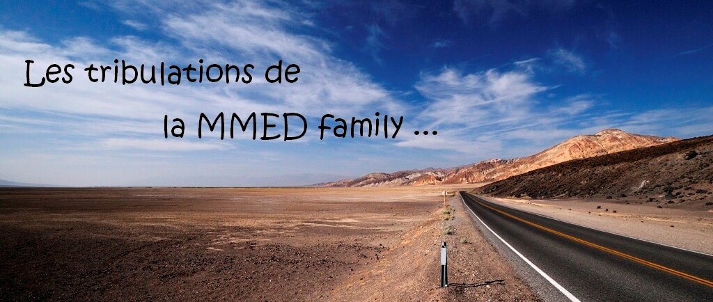 Les tribulations de la MMED Family