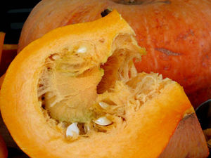 courge_