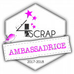 LogoAmbassadrice2017-2018
