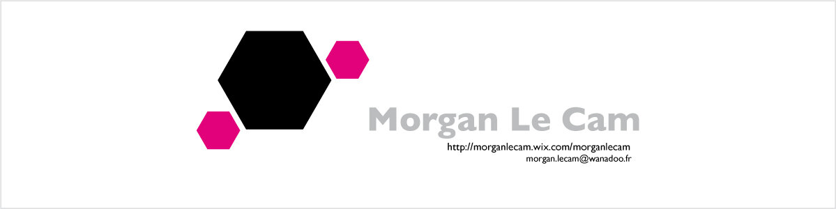 Morgan Le Cam -