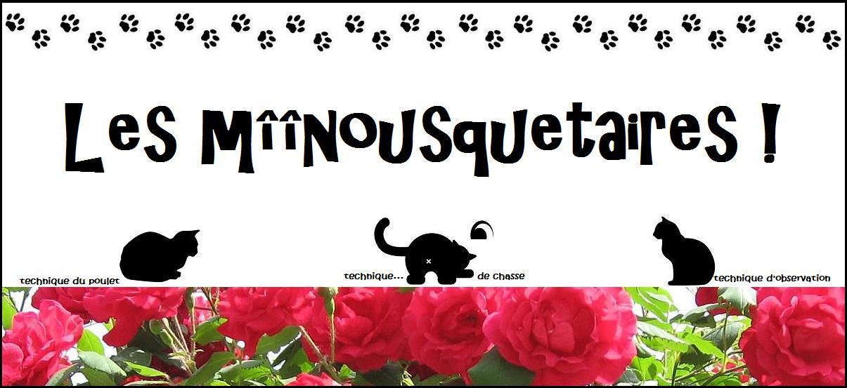 ^o^ Mîînousquetaires ^o^