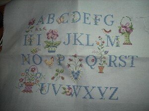 Photo_054