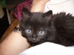 Photo_038
