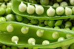 066_guisantes_mios