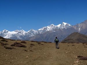 Trek Annapurna FZ28 - 1010