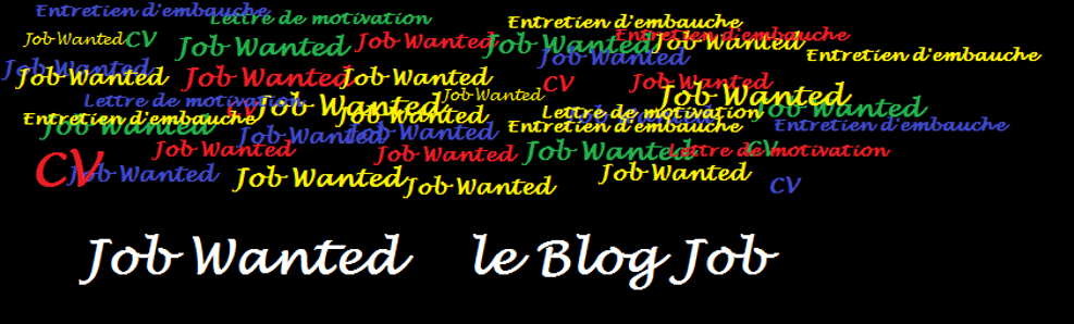 Job Wanted - Le Blog Job