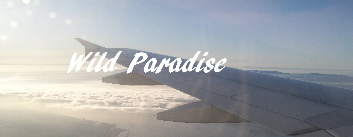 Wild Paradise