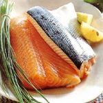 salmon