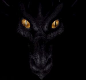 dragonnoir