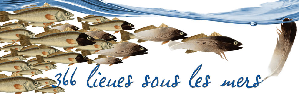 366 lieues sous les mers