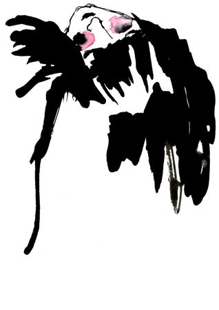 49280090_p.jpg