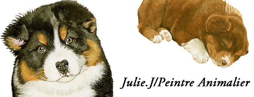 Julie.J Peintre Animalier