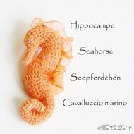 Hippocampe 190