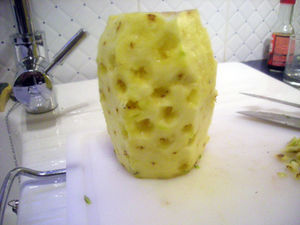 DSCN6858