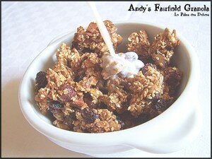 Muesli_de_Nigella__3_