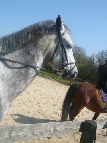 2010paq2 - Lucie (38)