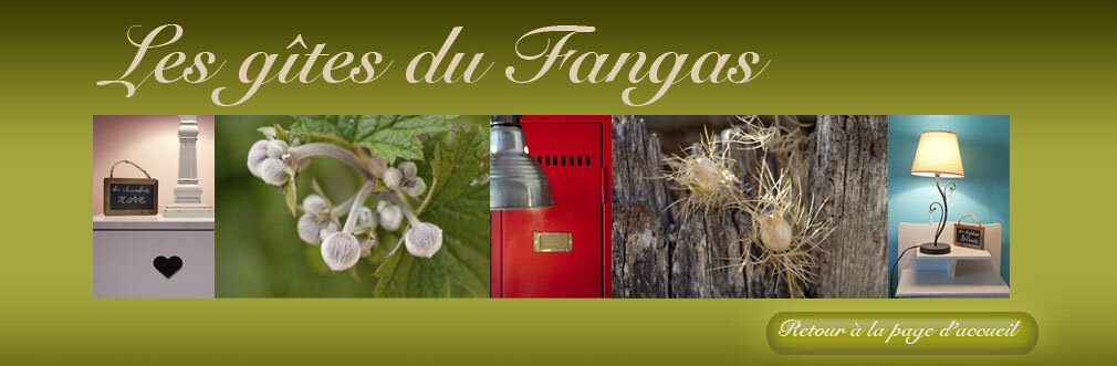 Les gîtes du Fangas situés dans le Tarn, entre Albi et Toulouse.......Pays des bastides et du Gaillac