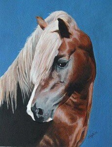 horse_pet_portrait_3_ENLARGE
