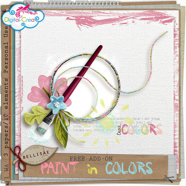 preview_paintincolorsADDON_bellisaedesigns